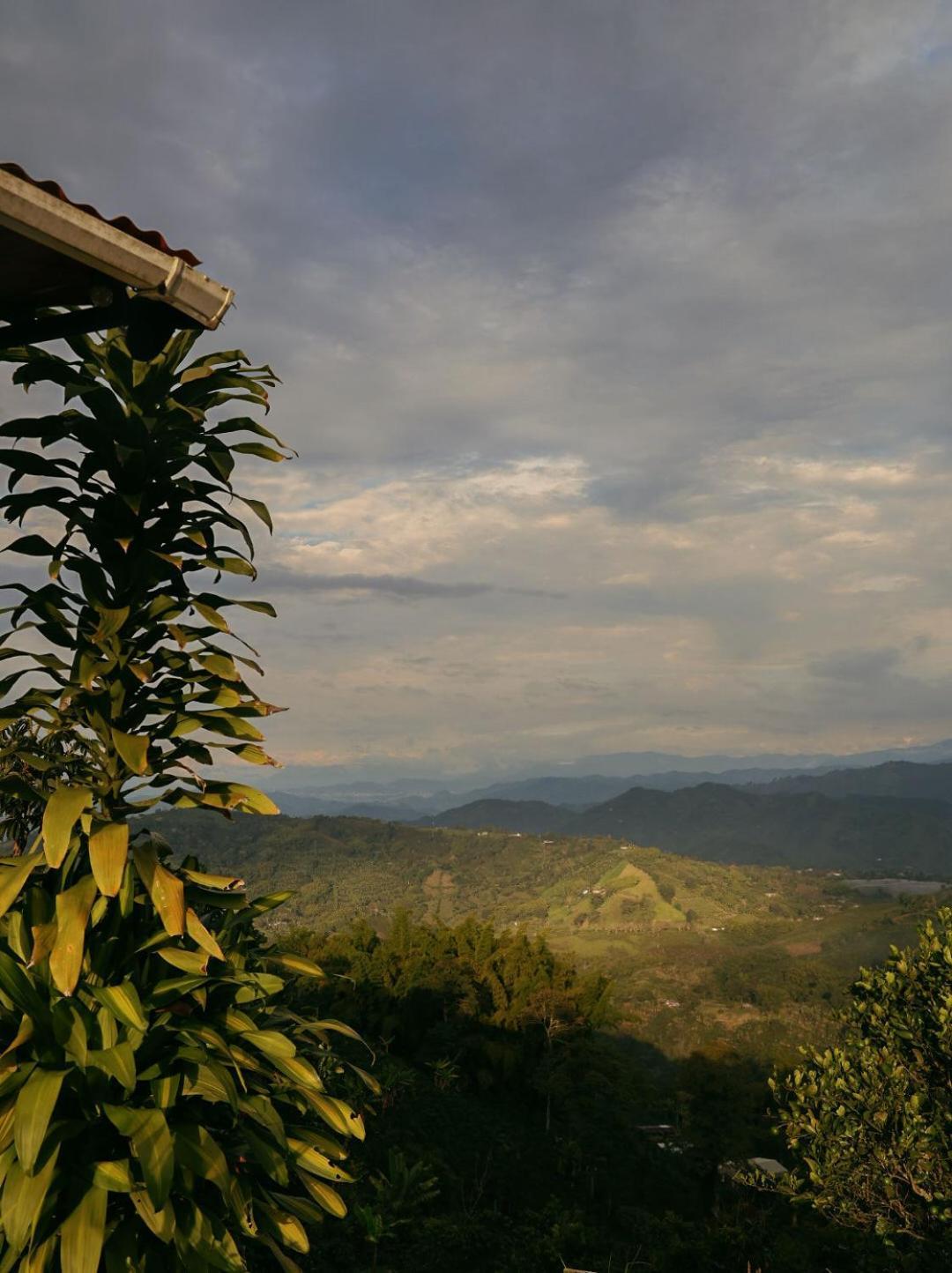 Hacienda Boutique Santa Rosanna Villa Santa Rosa de Cabal Eksteriør bilde